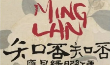 知否知否应是绿肥红瘦