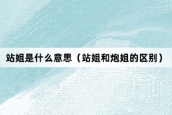 “站姐和炮姐”网络梗词解释