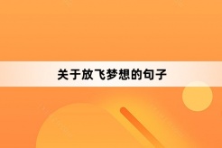 關於放飛夢想的句子