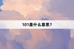 “101”网络梗词解释