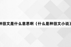 “种田文”网络梗词解释