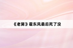 《老舅》霍东风最后死了没