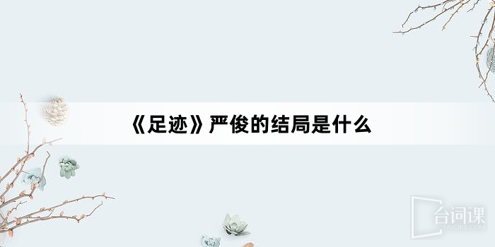 《足迹》严俊的结局是什么