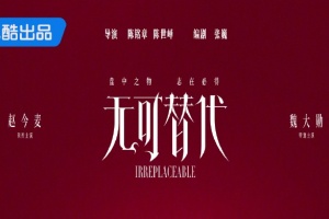 无可替代