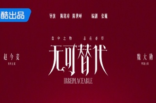 无可替代