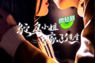 鴕鳥小姐與家政先生
