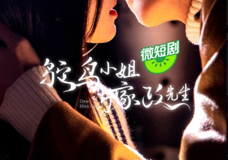 鸵鸟小姐与家政先生