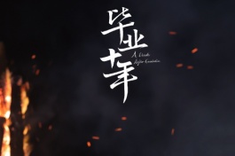 毕业十年