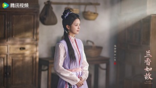 兰香如故剧照