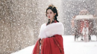桃花映江山剧照