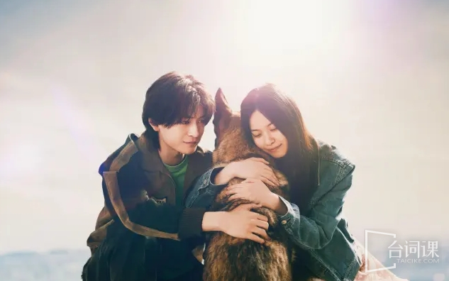 Movie《The Boy and the Dog》Plot Introduction