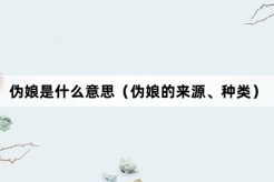 “伪娘”网络梗词解释