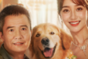 犬父