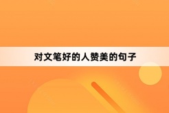Sentences to praise people with good writing skills