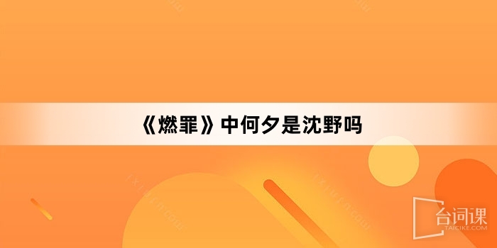 《燃罪》中何夕是沈野嗎
