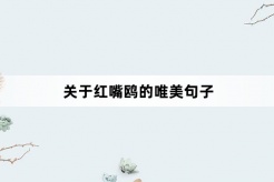 关于红嘴鸥的唯美句子