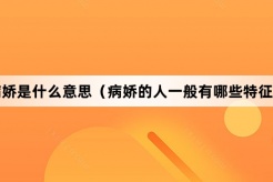 “病娇”网络梗词解释