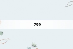 “799”网络梗词解释