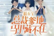 一胎五寶總裁爹地馬甲藏不住