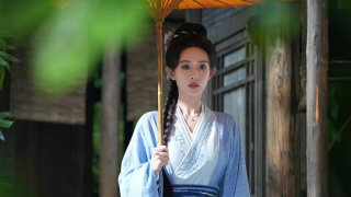 桃花映江山剧照