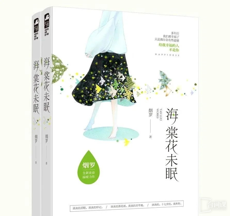 當代反諜涉案電視劇《海棠花未眠》