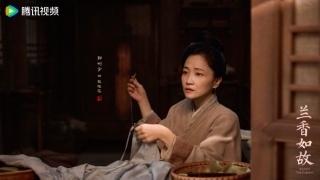 兰香如故剧照