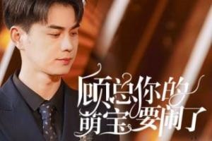 顧總你的萌寶造反了