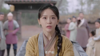 金美辰