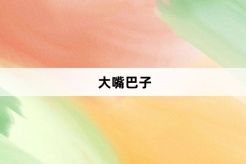 “大嘴巴子”网络梗词解释