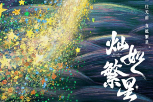 灿如繁星