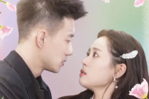 顧總的二婚嬌妻