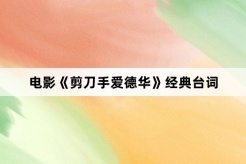 电影《剪刀手爱德华》经典台词