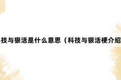 “科技与狠活”网络梗词解释