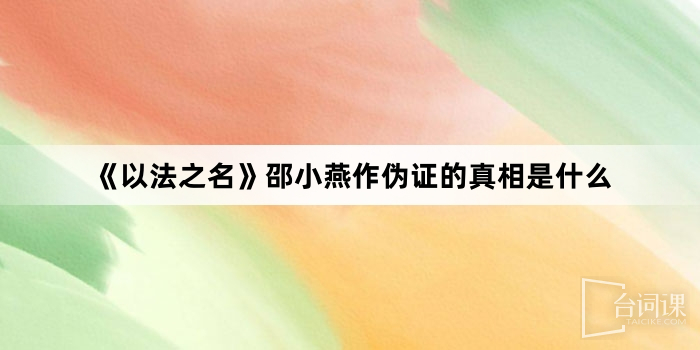 《以法之名》邵小燕作伪证的真相是什么