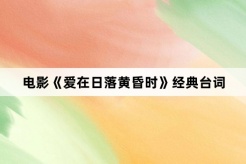 电影《爱在日落黄昏时》经典台词