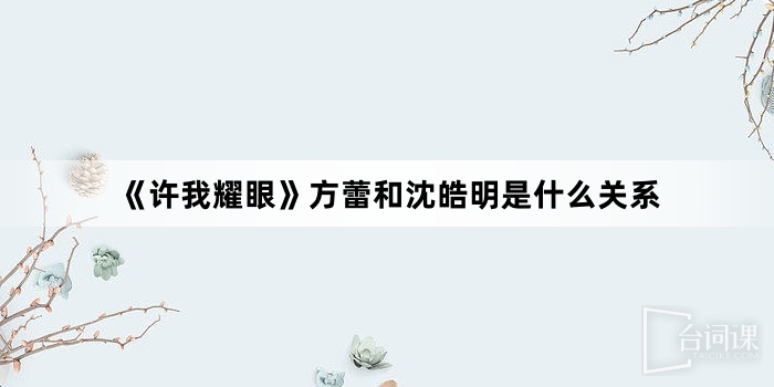 《许我耀眼》方蕾和沈皓明是什么关系