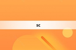 “sc”网络梗词解释