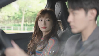 Ode to Joy 5Stills