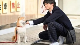 今日份的散步劇照