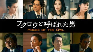 那个叫猫头鹰的男人剧照