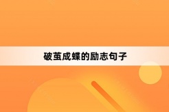 破茧成蝶的励志句子
