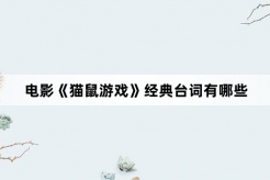 电影《猫鼠游戏》经典台词