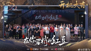 在你眉梢种红豆剧照