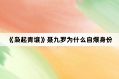 《枭起青壤》聂九罗为什么自爆身份