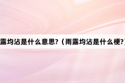“雨露均沾”网络梗词解释