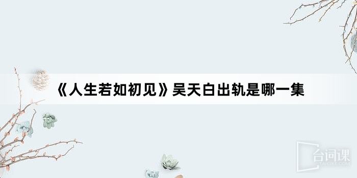 《人生若如初见》吴天白出轨是哪一集