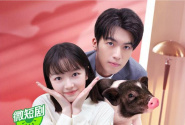 我的老板是小猪