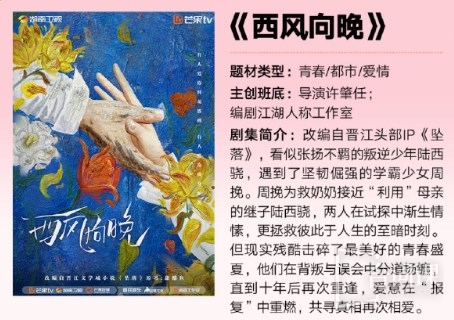电视剧《西风向晚》原著小说介绍