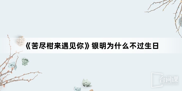 《苦尽柑来遇见你》银明为什么不过生日