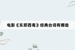 電影《東邪西毒》經典台詞有哪些